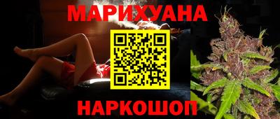 сатива Майкоп