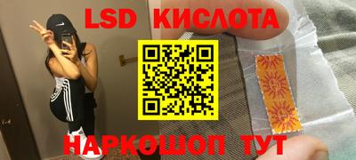 сатива Майкоп