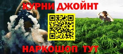 сатива Майкоп