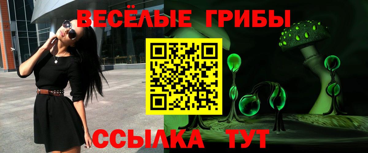 Владивосток  Псилоцибиновые грибы GOLDEN TEACHER  Вход с VPN 